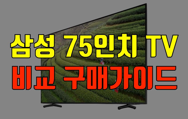 삼성 75인치 tv 비교